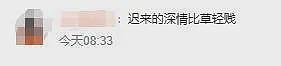 李嘉格官宣“姐弟恋”后续，前夫深夜发文已破防，评论区一片嘲讽（组图） - 28