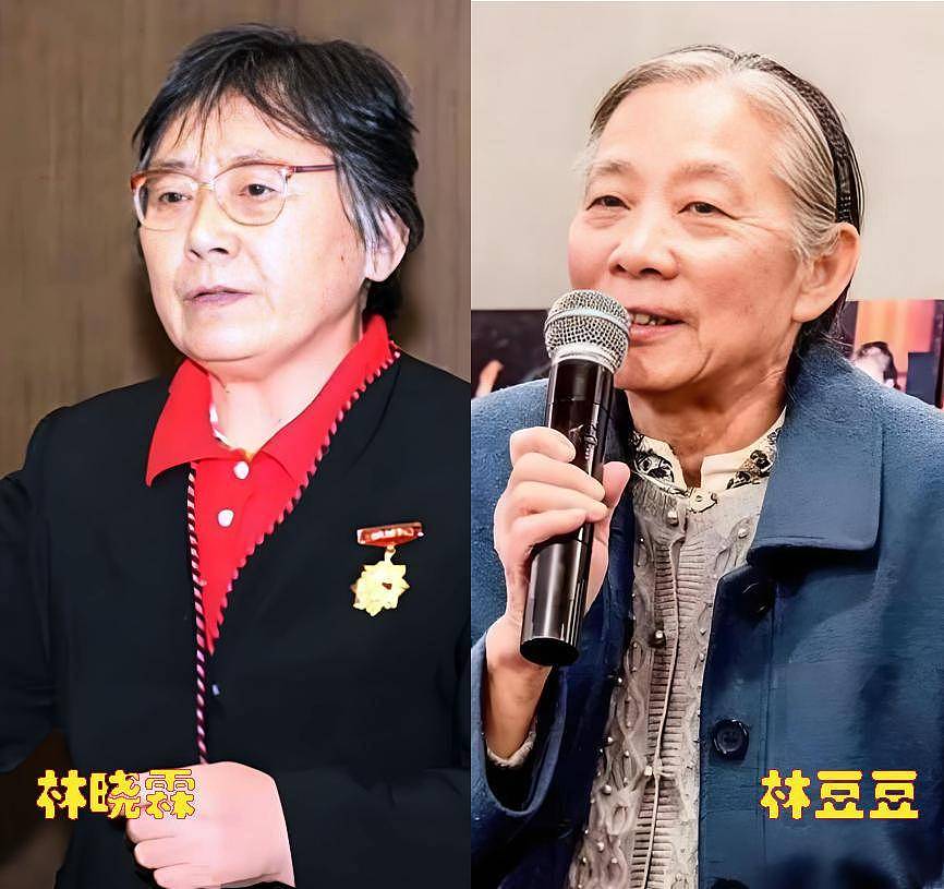 林晓霖：她是林豆豆同父异母的姐姐，一生坎坷（组图） - 18