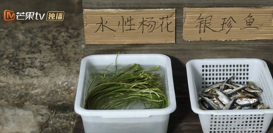连夜改名的“水性杨花”，什么来头？（组图） - 2