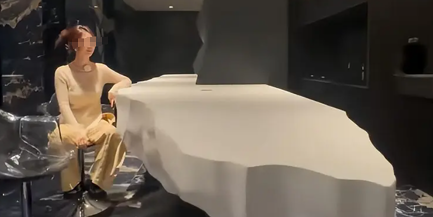 女网红晒豪宅曝一年电费40万，惊动电力局后底细被扒她老公职业值得细品…（组图） - 17