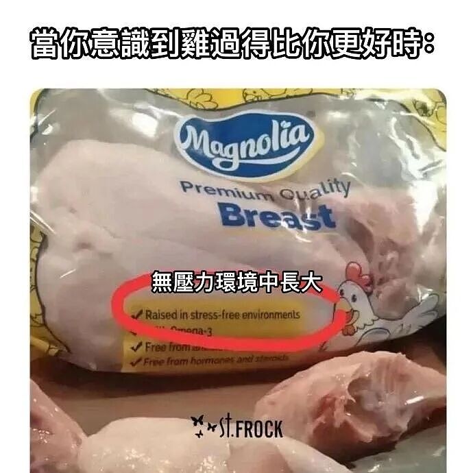 【爆笑】“直属领导是闺蜜前夫是种什么体验...？”哈哈哈，爸爸妈妈离婚你跟谁！（组图） - 88