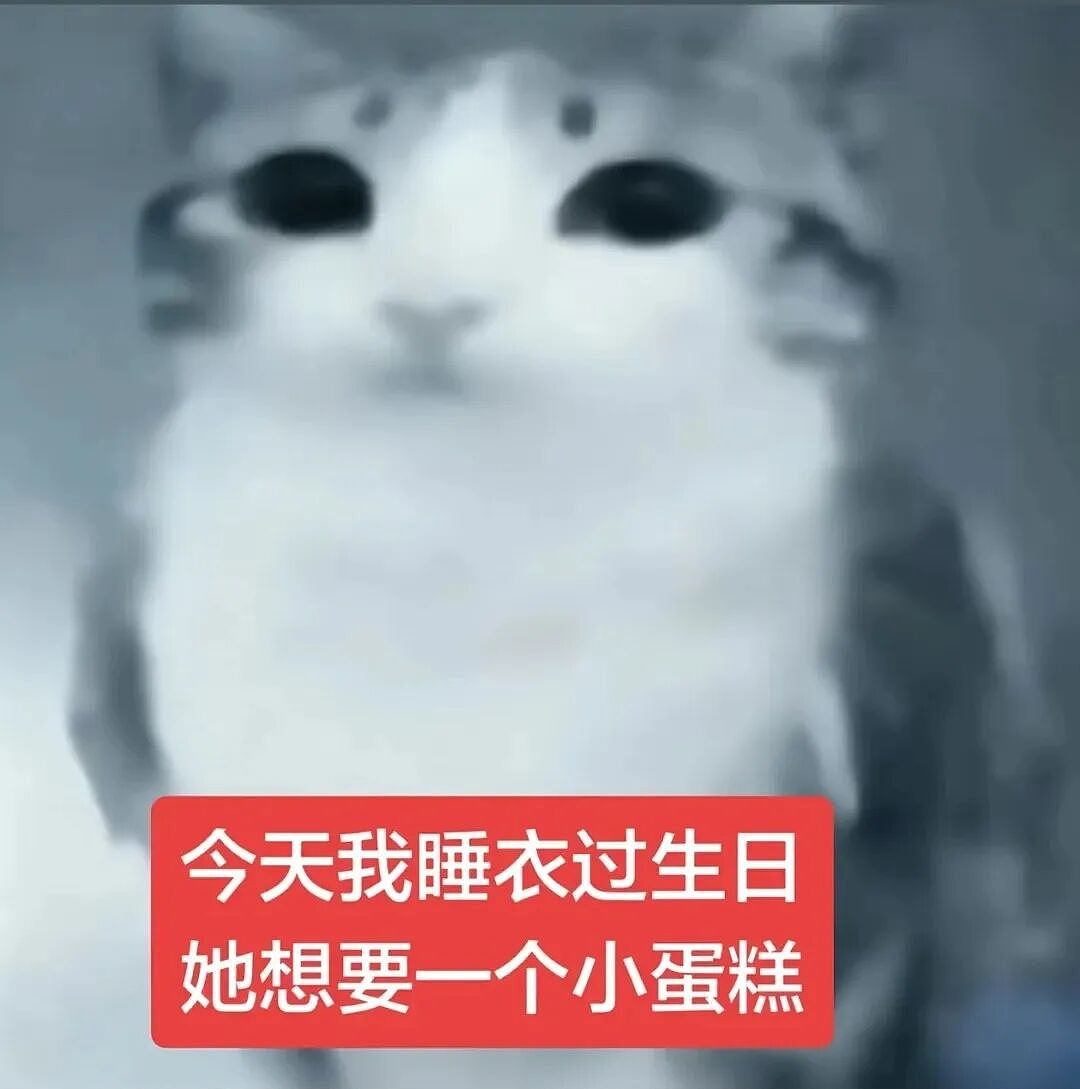 【宠物】猫咪奇葩分手理由大赏，网友：老虎什么时候能赢一次！老虎：我永远赢不了，因为...（组图） - 3