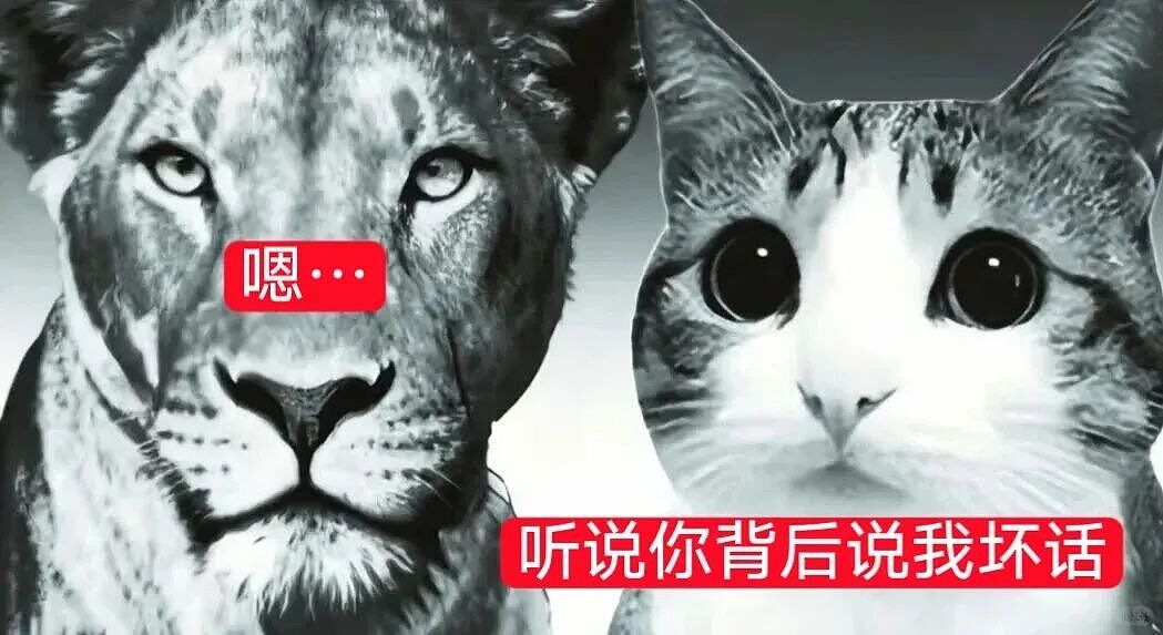【宠物】猫咪奇葩分手理由大赏，网友：老虎什么时候能赢一次！老虎：我永远赢不了，因为...（组图） - 50