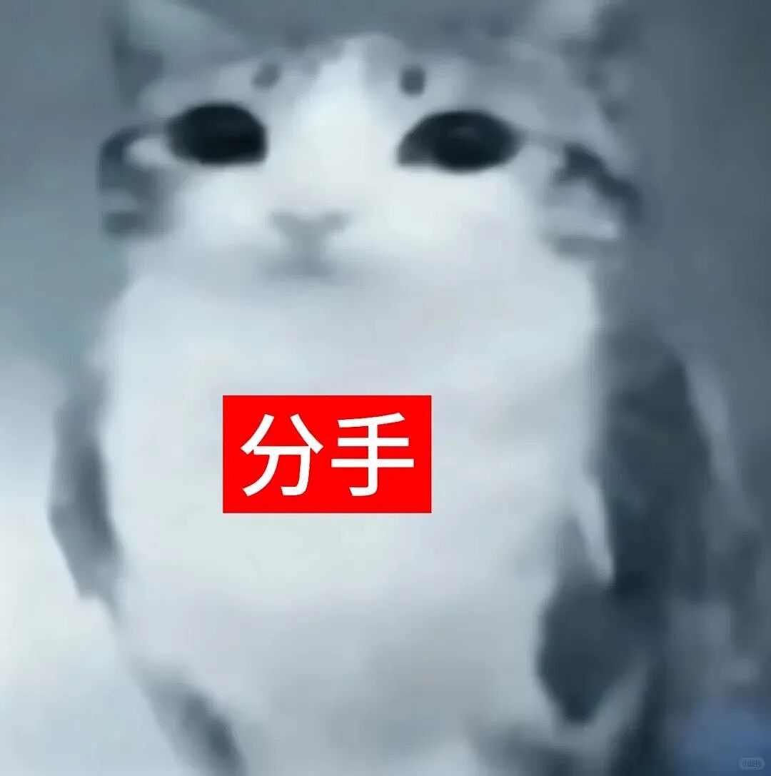 【宠物】猫咪奇葩分手理由大赏，网友：老虎什么时候能赢一次！老虎：我永远赢不了，因为...（组图） - 32