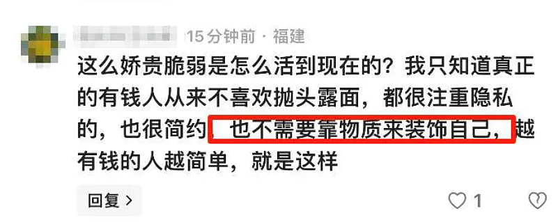 女网红晒豪宅曝一年电费40万，惊动电力局后底细被扒她老公职业值得细品…（组图） - 10