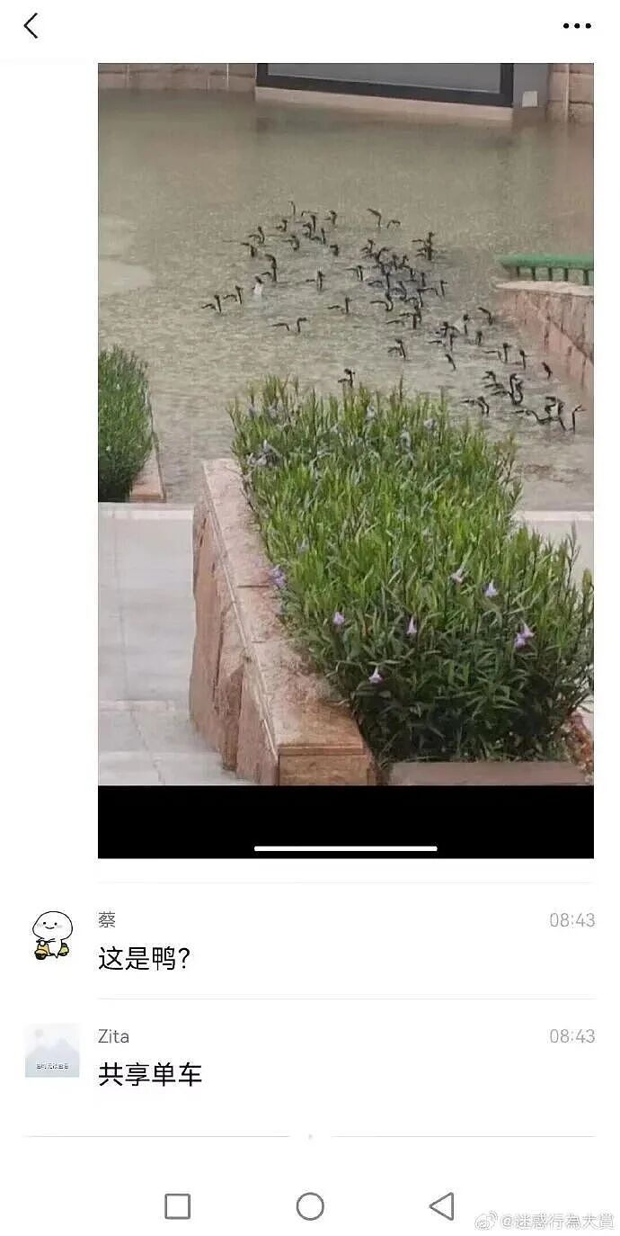 【爆笑】“直属领导是闺蜜前夫是种什么体验...？”哈哈哈，爸爸妈妈离婚你跟谁！（组图） - 84