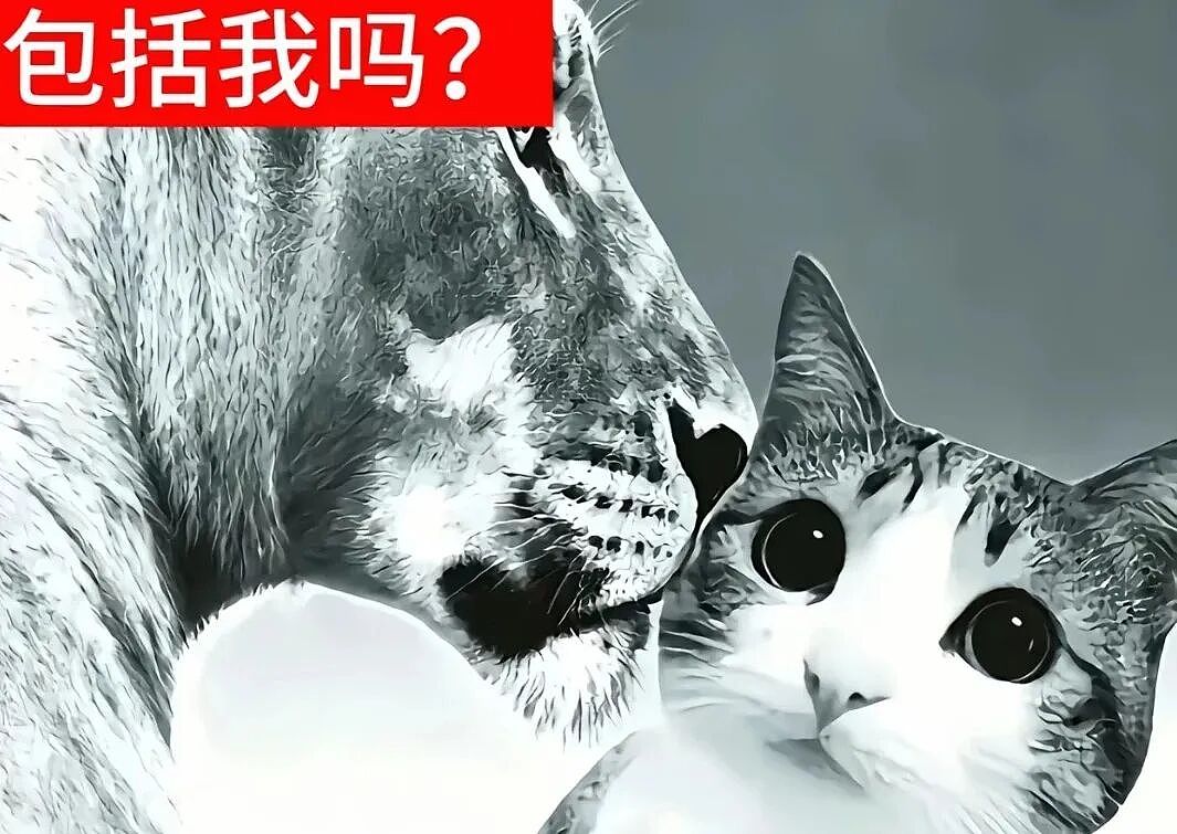 【宠物】猫咪奇葩分手理由大赏，网友：老虎什么时候能赢一次！老虎：我永远赢不了，因为...（组图） - 35
