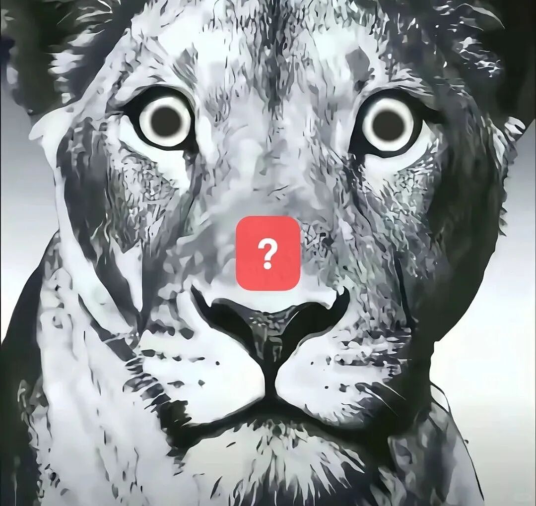【宠物】猫咪奇葩分手理由大赏，网友：老虎什么时候能赢一次！老虎：我永远赢不了，因为...（组图） - 26