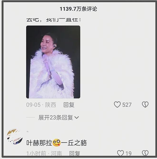 多位明星评论区沦陷！吴京自称八旗子弟，那英炫耀自家满清皇族（组图） - 20