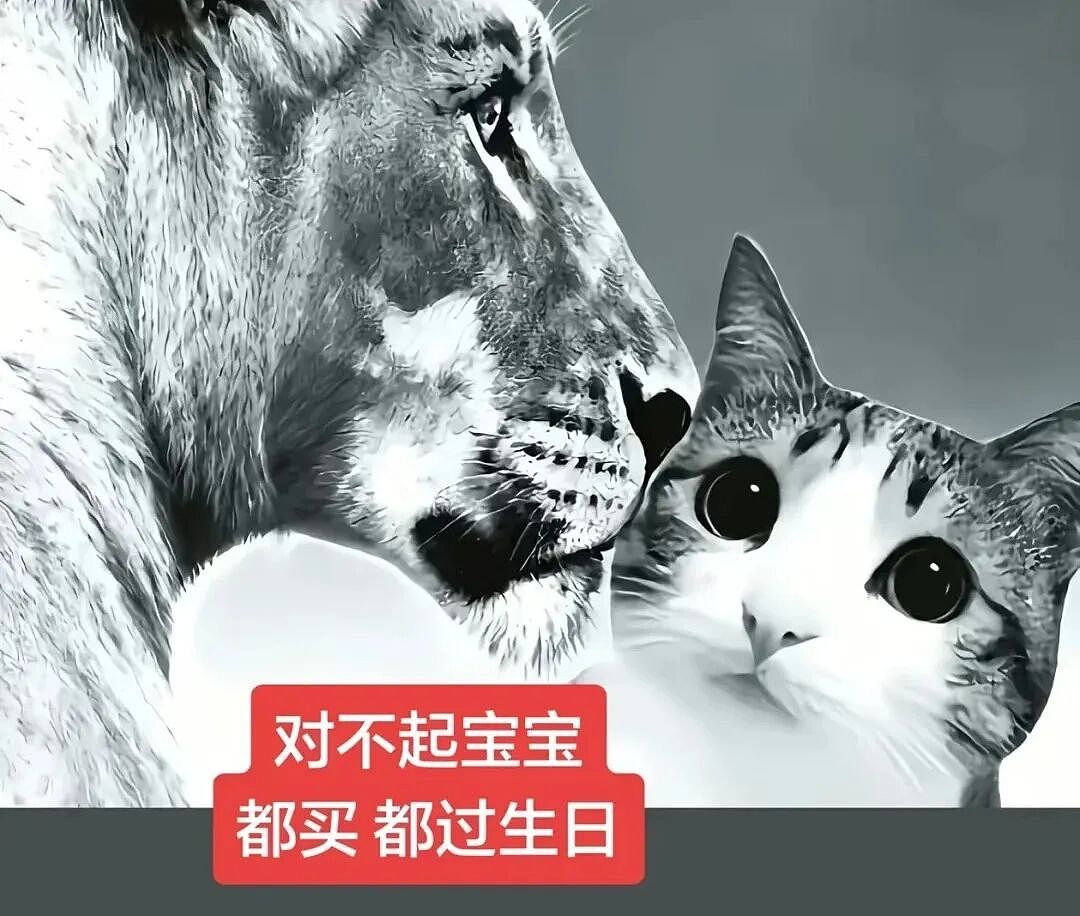 【宠物】猫咪奇葩分手理由大赏，网友：老虎什么时候能赢一次！老虎：我永远赢不了，因为...（组图） - 10
