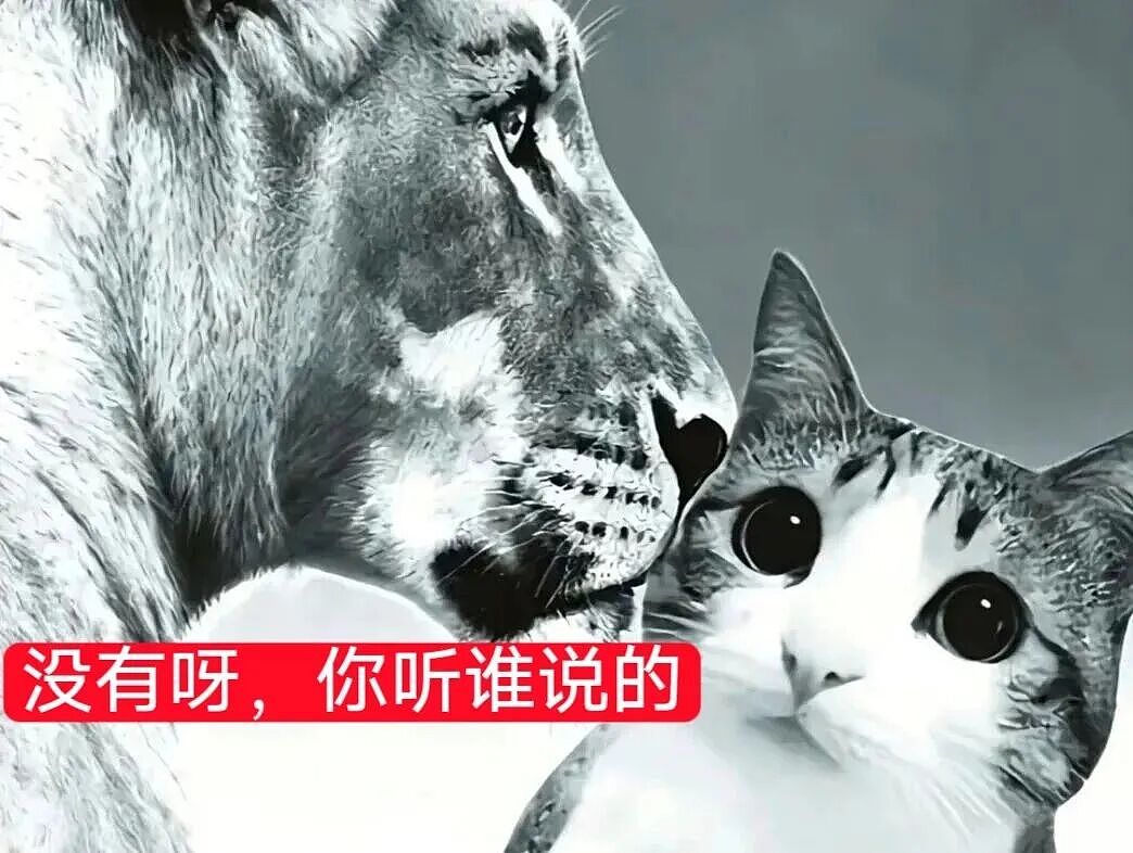 【宠物】猫咪奇葩分手理由大赏，网友：老虎什么时候能赢一次！老虎：我永远赢不了，因为...（组图） - 51
