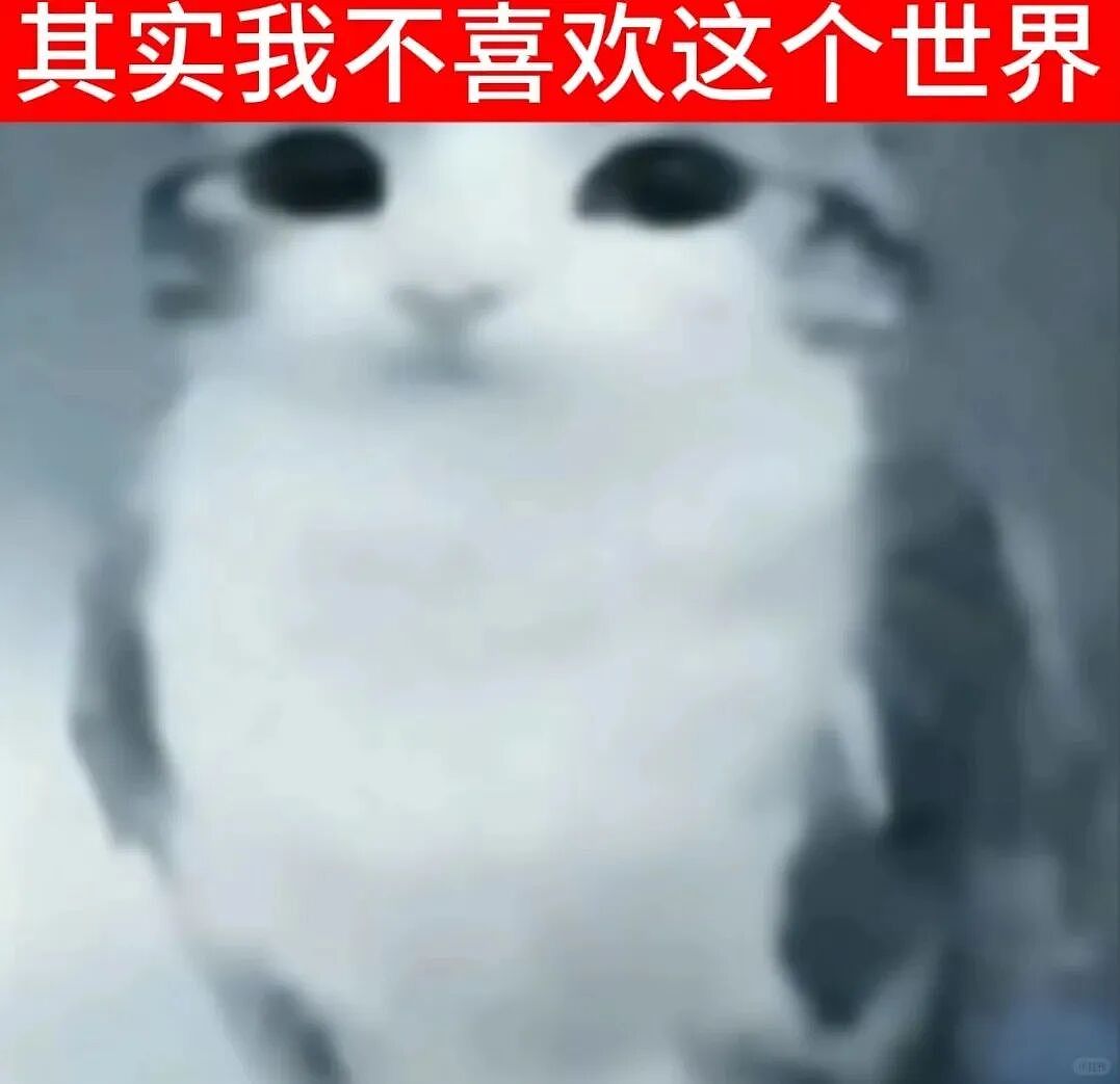【宠物】猫咪奇葩分手理由大赏，网友：老虎什么时候能赢一次！老虎：我永远赢不了，因为...（组图） - 40
