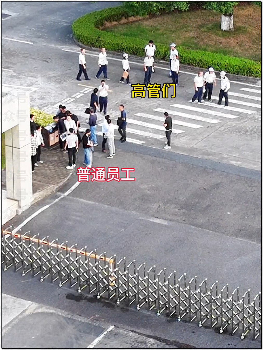 佳能中山退场！2.5N+1有人拿八九十万！员工边走边哭（组图） - 23
