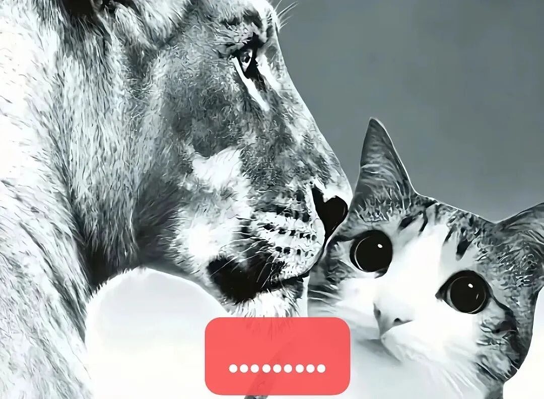 【宠物】猫咪奇葩分手理由大赏，网友：老虎什么时候能赢一次！老虎：我永远赢不了，因为...（组图） - 23
