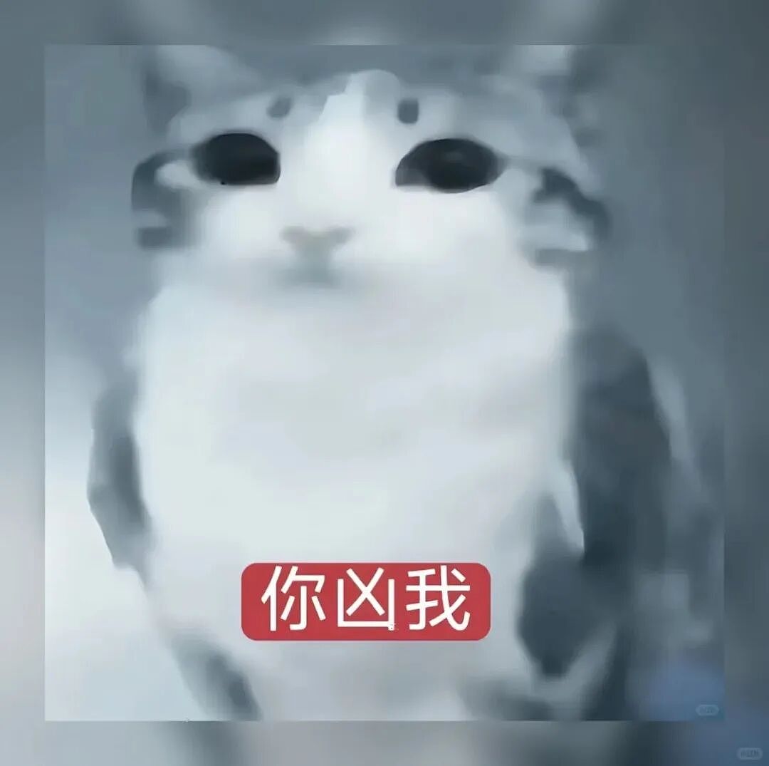 【宠物】猫咪奇葩分手理由大赏，网友：老虎什么时候能赢一次！老虎：我永远赢不了，因为...（组图） - 19