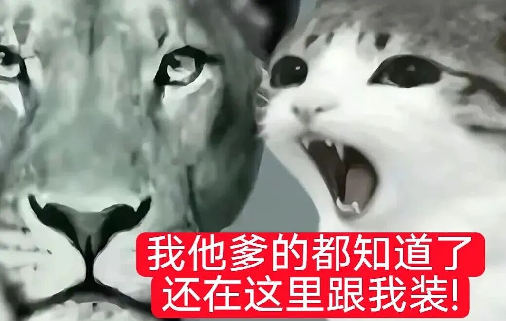【宠物】猫咪奇葩分手理由大赏，网友：老虎什么时候能赢一次！老虎：我永远赢不了，因为...（组图） - 52