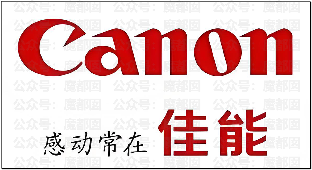 佳能中山退场！2.5N+1有人拿八九十万！员工边走边哭（组图） - 37