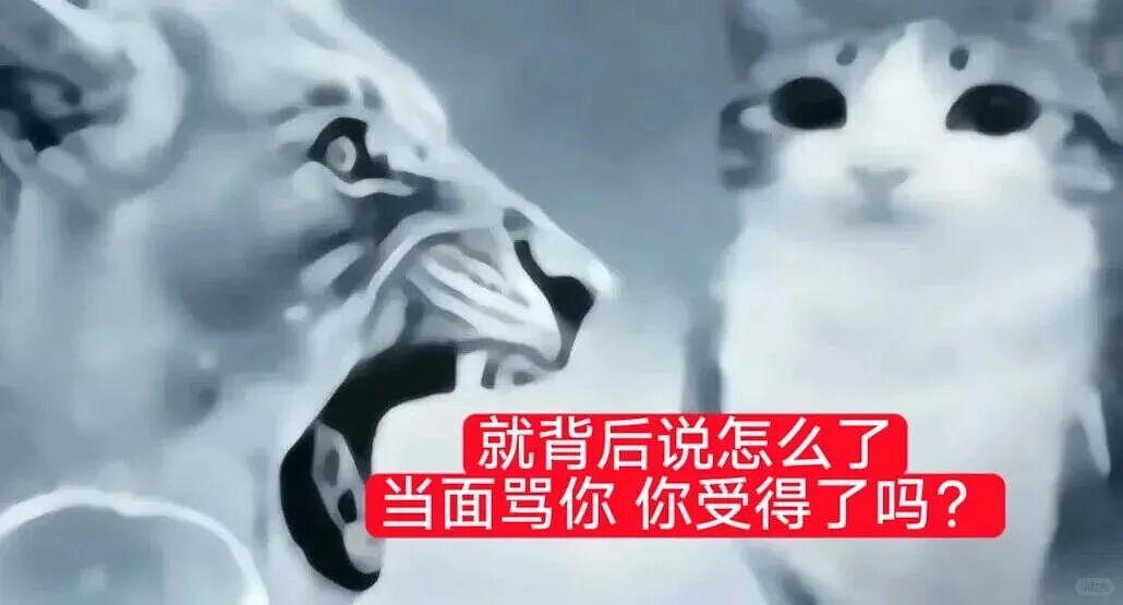 【宠物】猫咪奇葩分手理由大赏，网友：老虎什么时候能赢一次！老虎：我永远赢不了，因为...（组图） - 53