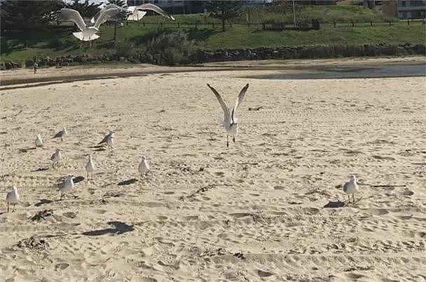 美股观察：新高之后 道指何去何从？——周期、浪型与趋势的最新研判（一）澳洲能源市场观察：当浩荡真气开始逆行 武林规则将何去何从？ - 9