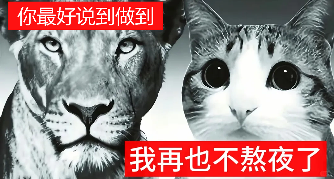 【宠物】猫咪奇葩分手理由大赏，网友：老虎什么时候能赢一次！老虎：我永远赢不了，因为...（组图） - 47