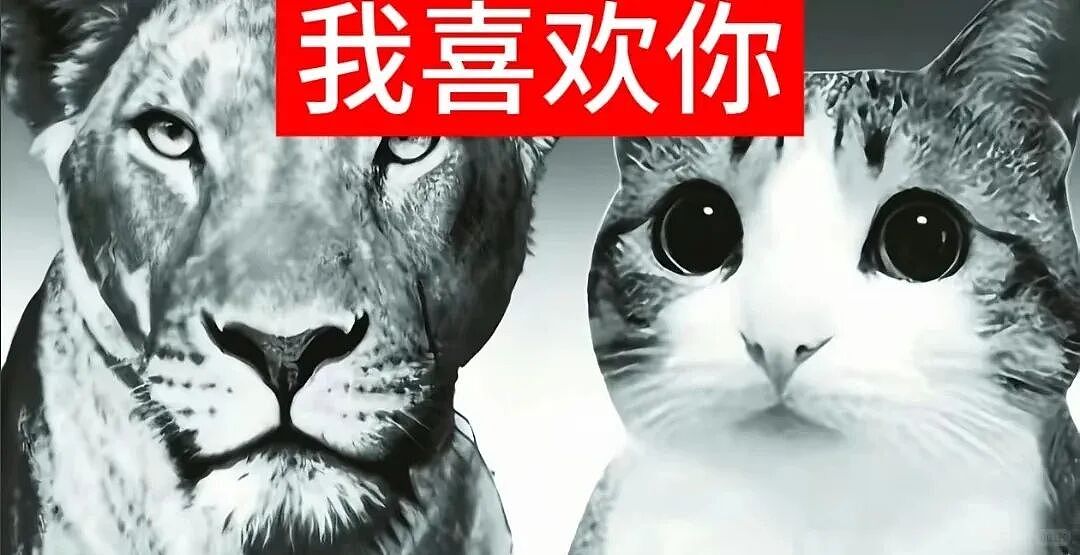 【宠物】猫咪奇葩分手理由大赏，网友：老虎什么时候能赢一次！老虎：我永远赢不了，因为...（组图） - 41