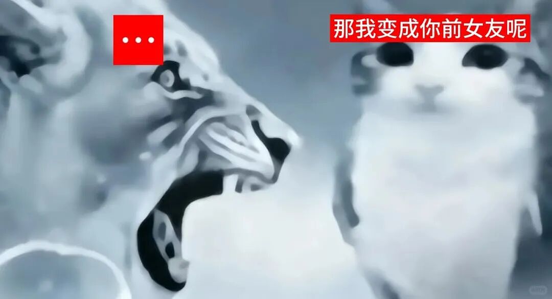 【宠物】猫咪奇葩分手理由大赏，网友：老虎什么时候能赢一次！老虎：我永远赢不了，因为...（组图） - 31