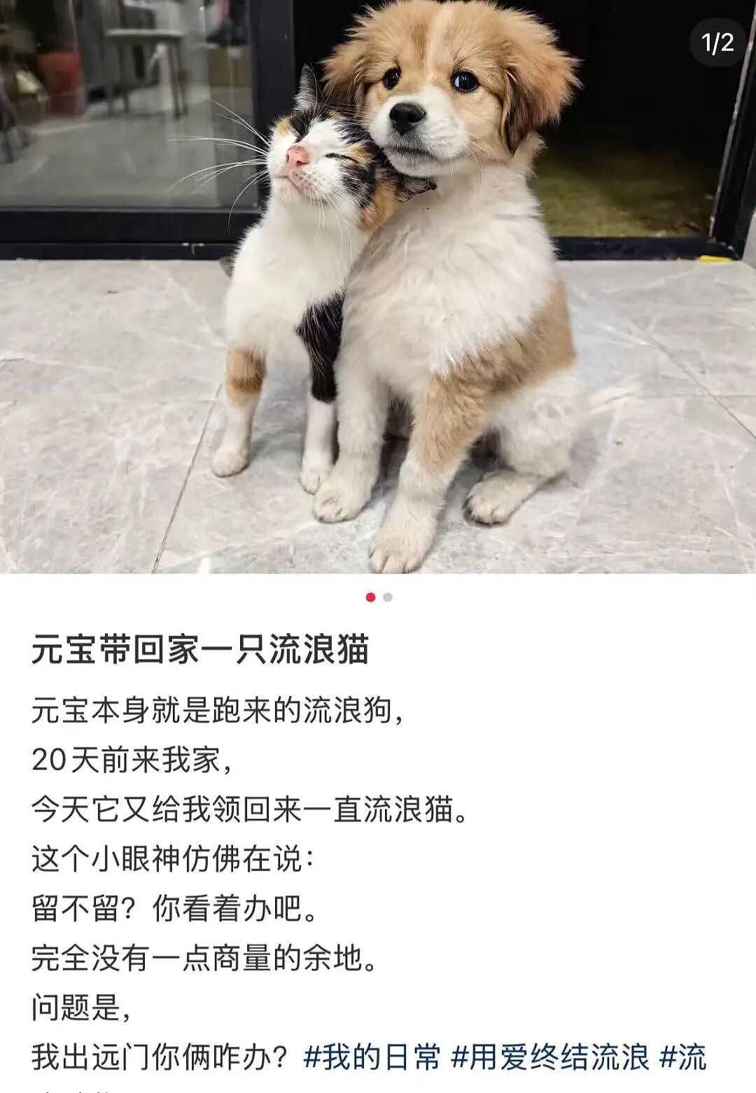 【爆笑】“直属领导是闺蜜前夫是种什么体验...？”哈哈哈，爸爸妈妈离婚你跟谁！（组图） - 37