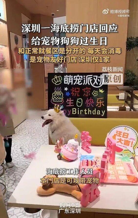 深圳一海底捞给宠物狗过生日！门店回应（组图） - 1