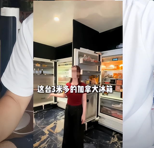女网红晒豪宅曝一年电费40万，惊动电力局后底细被扒她老公职业值得细品…（组图） - 19