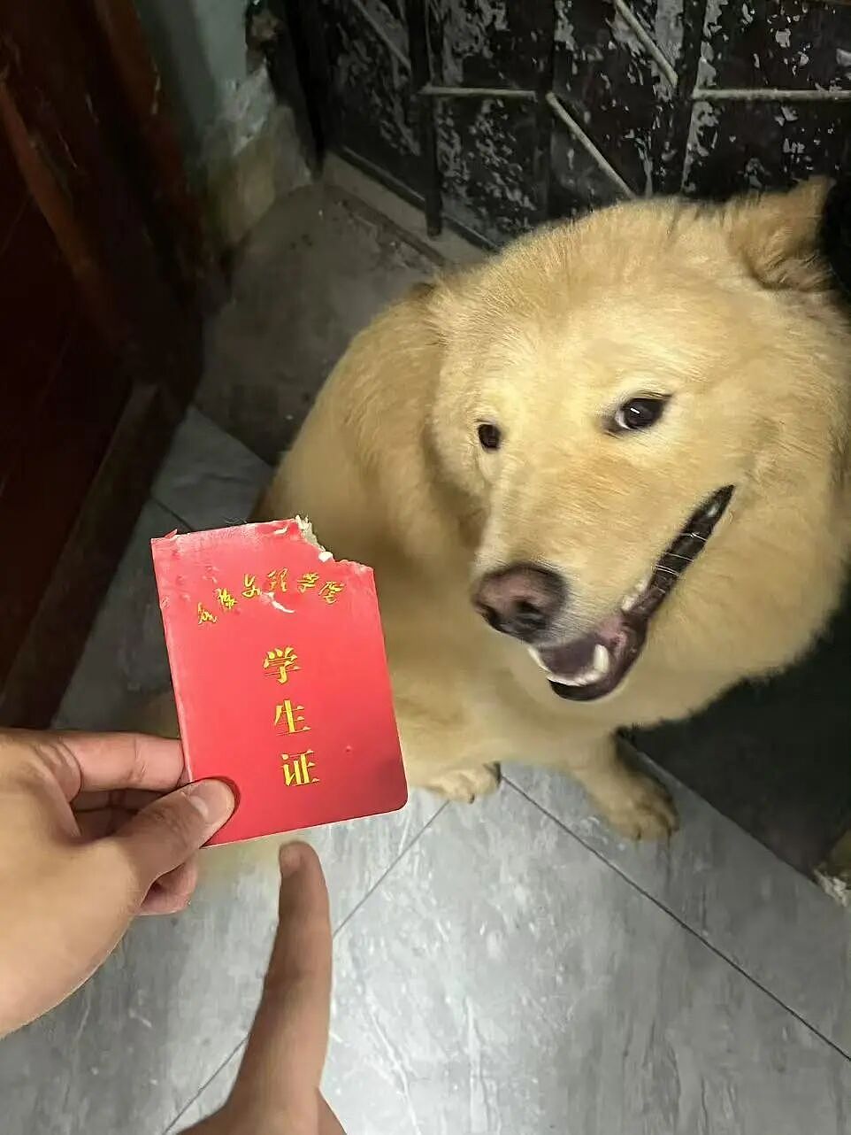 【爆笑】“直属领导是闺蜜前夫是种什么体验...？”哈哈哈，爸爸妈妈离婚你跟谁！（组图） - 62
