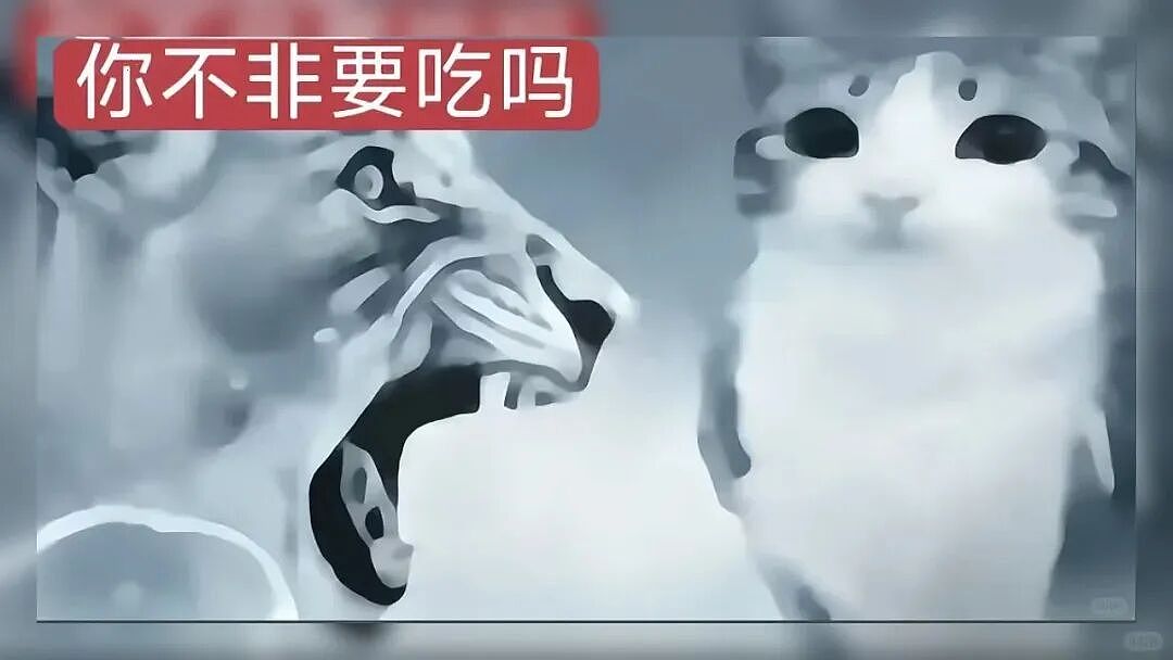 【宠物】猫咪奇葩分手理由大赏，网友：老虎什么时候能赢一次！老虎：我永远赢不了，因为...（组图） - 18