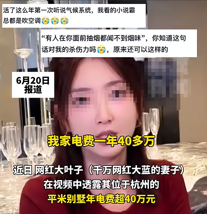女网红晒豪宅曝一年电费40万，惊动电力局后底细被扒她老公职业值得细品…（组图） - 4