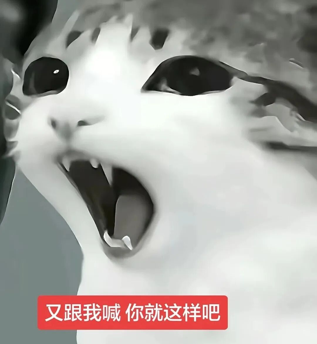 【宠物】猫咪奇葩分手理由大赏，网友：老虎什么时候能赢一次！老虎：我永远赢不了，因为...（组图） - 9