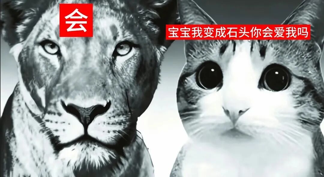 【宠物】猫咪奇葩分手理由大赏，网友：老虎什么时候能赢一次！老虎：我永远赢不了，因为...（组图） - 28