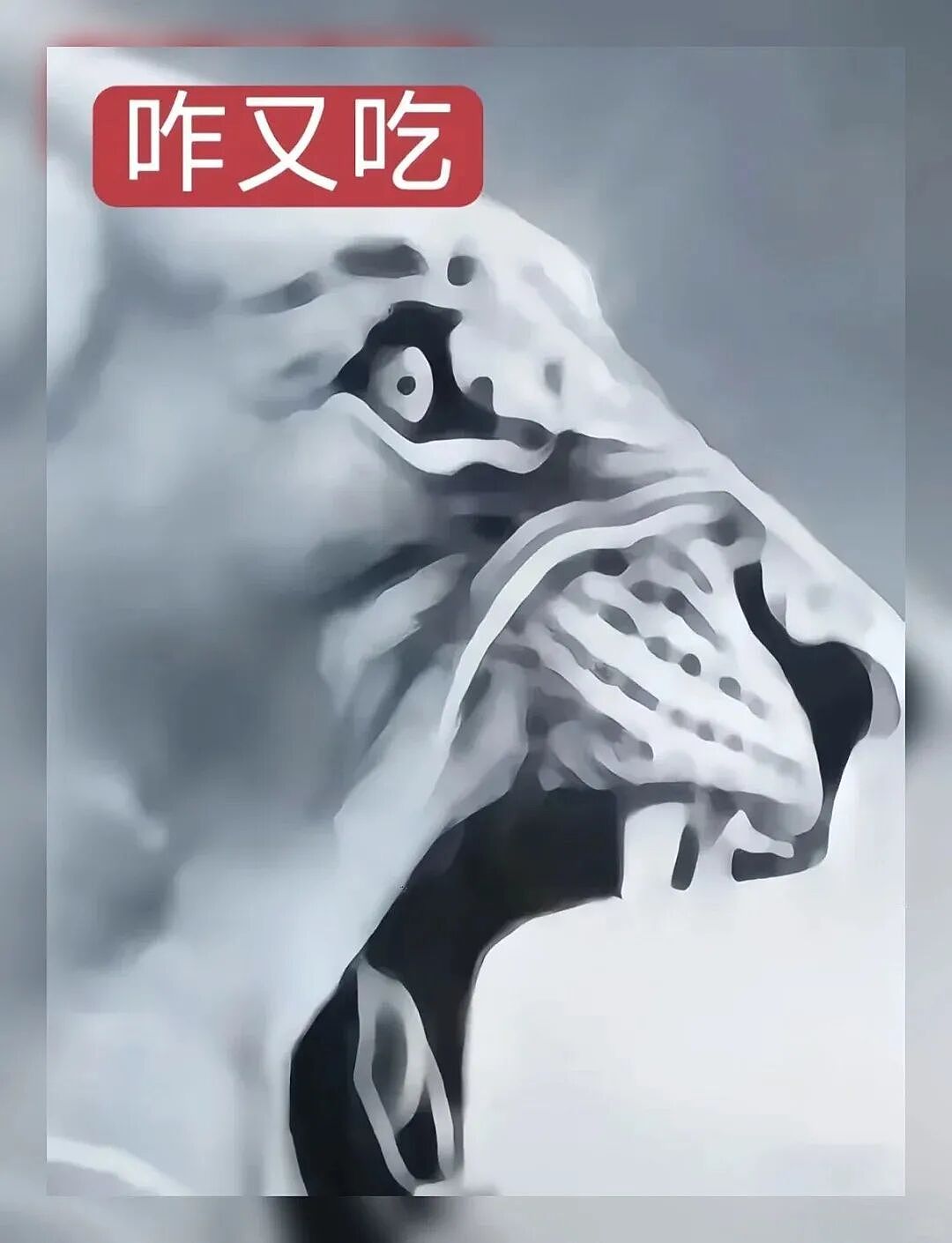 【宠物】猫咪奇葩分手理由大赏，网友：老虎什么时候能赢一次！老虎：我永远赢不了，因为...（组图） - 14