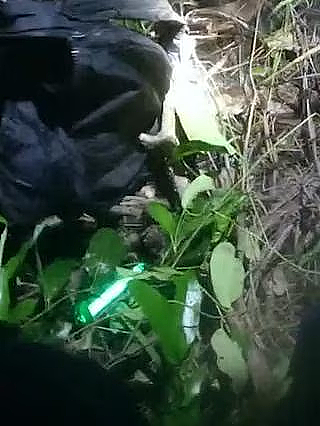 澳洲央行：没考虑降息，明年的确可能加息！昆州购物中心发生枪击案，男子中弹当场身亡（组图） - 5