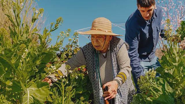 澳洲专家：这些短时间高强度活动能令你长寿（组图） - 1