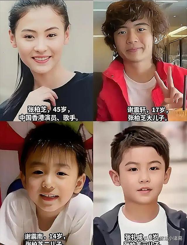 张柏芝法庭崩溃大哭,撕开了谢霆锋的体面,原来向佐早说穿真相(组图) - 18