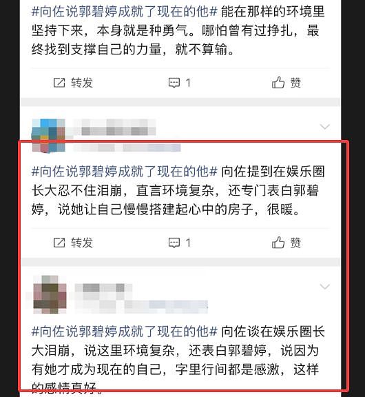 向佐：郭碧婷是非常伟大的老婆！（组图） - 3