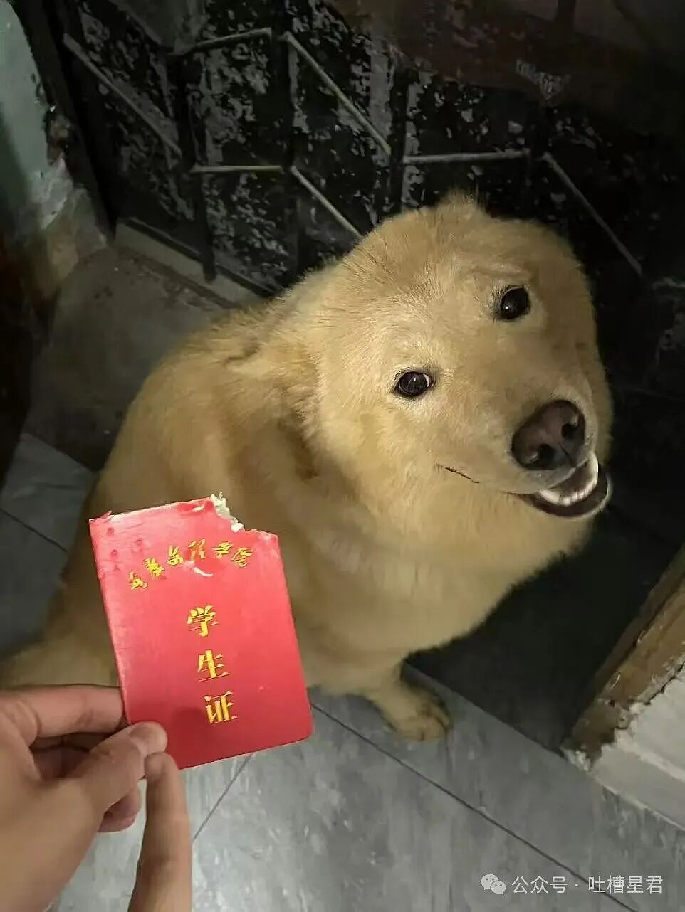 【爆笑】直属领导是闺蜜前夫是种什么体验...？哈哈哈爸爸妈妈离婚你跟谁（组图） - 42