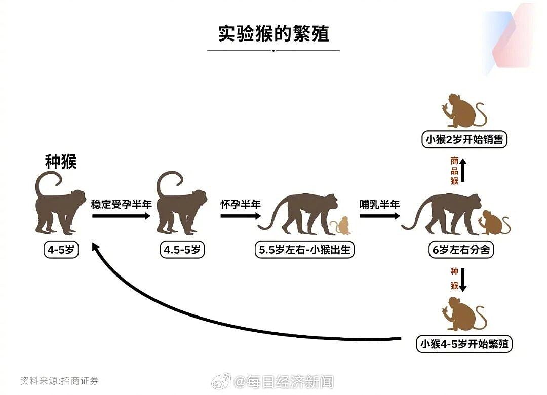 内地医药界爆“抢猴大战”，单价破10万仍一猴难求，预约已到明年（组图） - 2