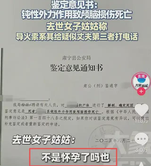 最新！孟村杀妻案金昊被判死刑！心梗证明和凶手父亲却成未解之谜（组图） - 17