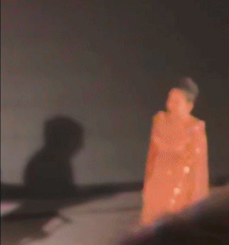 章子怡被吐槽拜高踩低！主动和卡梅隆热聊，对孙俪邓超略显冷淡（组图） - 16