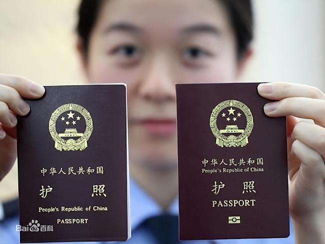 国籍严查打响第一枪！华人被拦机场，掀起巨浪（组图） - 2