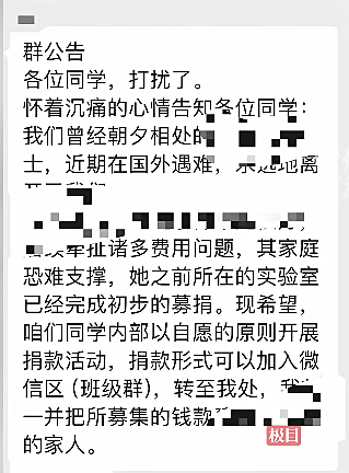 中国留德31岁女博士与2月大女儿遇害，嫌犯竟是外籍丈夫（组图） - 6
