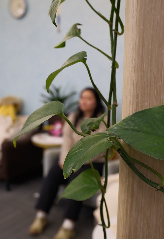 小镇做题家考上北大却患空心病，以专科毕业后她花了10年时间与“失败”和解（组图） - 3