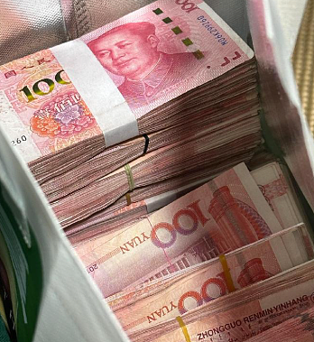 华人在国内的钱，想汇出来难了（组图） - 1