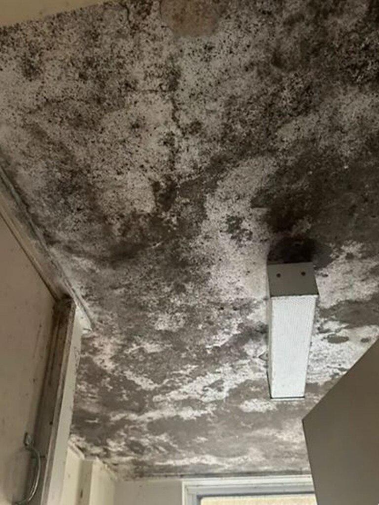影响居民寿命！全澳最不健康地区公布，第一名就在维州（组图） - 5
