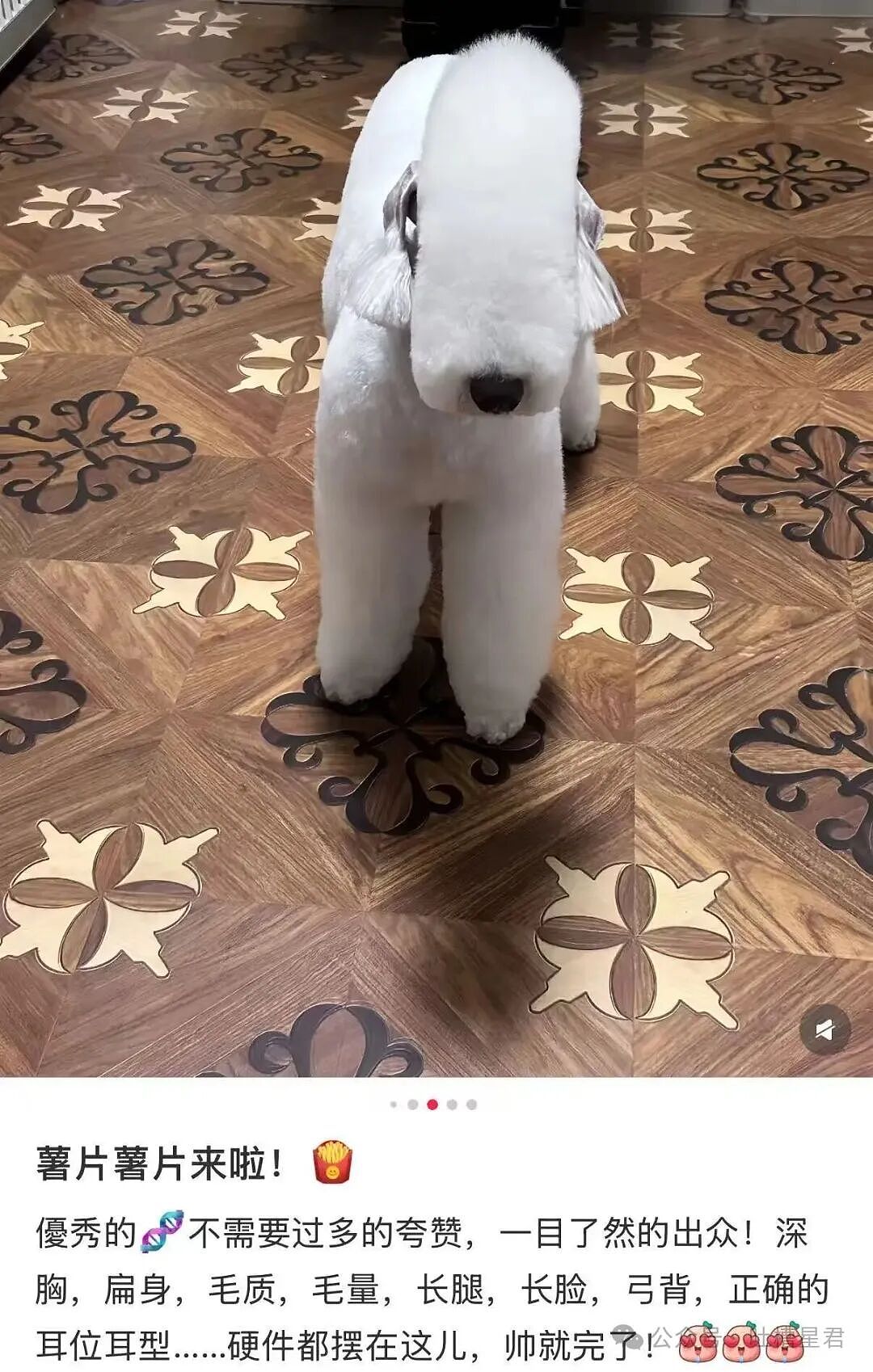 【爆笑】当退货率过高把商家吓破了胆后…?哈哈哈有点阴招全使我们身上了(组图) - 37