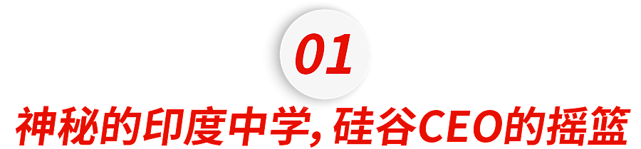 亚洲第一内卷国的“野鸡校”，批量生产美国CEO（组图） - 5